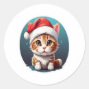 Search for crazy hat stickers Crazy cat lady