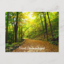 Search for connecticut postcards Nature