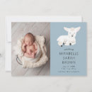 Recherche de agneau de bébé Mignon