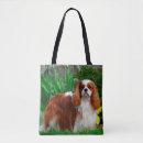 Search for blenheim bags Pet