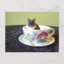 Search for comical rodents postcards Humour