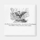 Search for ashes magnets Bird