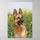 Search for german shepherd art Beautiful