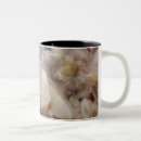 Recherche de palourdes tasses Plage