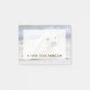 Recherche de bébé phoque posters Amour