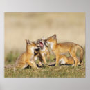Recherche de terrier renard posters Nature