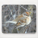 Recherche de oiseaux chanteurs tapis souris Moineau
