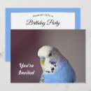 Recherche de perroquet bleu invitations Oiseau