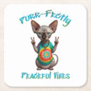 Recherche de minou bar Hippie