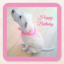 Search for beautiful birthday cakes Girl