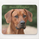 Search for ridgebacks electronics Rhodesian