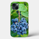 Search for produce iphone cases Blue