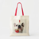 Search for closed bags Pet
