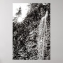 Search for white tree posters Outdoors