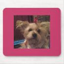 Search for shih tzu dog mousepads Cute