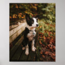 Search for white border posters Cute