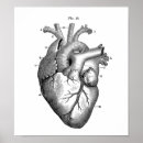 Search for anatomical heart posters Medical