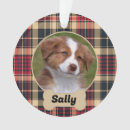 Recherche de os ornements Chien de compagnie