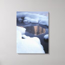 Search for landforms canvas prints Sierra nevada