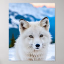 Recherche de renard arctique art Neige