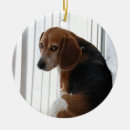 Search for beagle ornaments Hound