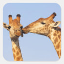 Search for bonding stickers Animal