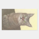 Recherche de cats autocollants Chat
