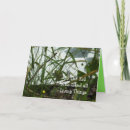 Search for frog birthday cards Amphibians