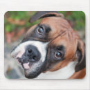 Search for pedigree dog mousepads Portrait