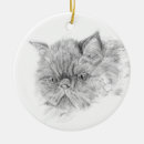 Search for persian cat ornaments Pet