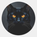 Search for black cat eyes stickers Animal