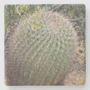 Search for needle coasters Usa