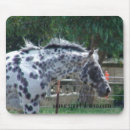 Recherche de étalons tapis souris Chevaux