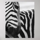Recherche de striped posters Black