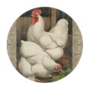 Recherche de poulet ustensiles cuisine Animal