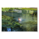 Search for splash posters Birds