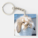 Search for brown rabbit keychains Easter