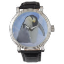 Recherche de poussin montres Nature