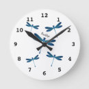 Recherche de libellules horloges Pour tous