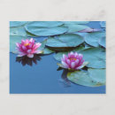 Search for pond invitations Floral