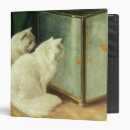 Recherche de 19ème bureau fournitures Chat