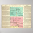 Search for timeline posters History