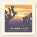 Search for california coasters Joshua tree national park