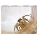Search for spider calendars Macro