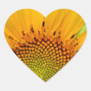Search for sunflower scrapbook stickers Plant