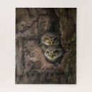 Search for owl puzzles Woodland