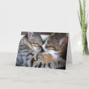 Search for love your cat cards Sweet