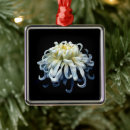 Search for chrysanthemum ornaments Bouquet