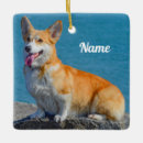 Search for pembroke welsh corgi ornaments Animal