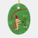 Search for armadillo ornaments Funny